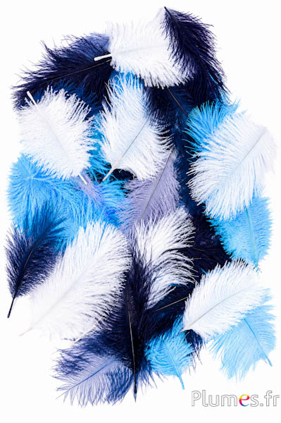 Struzzo Bellies - 5-10 cm - misto inverno
